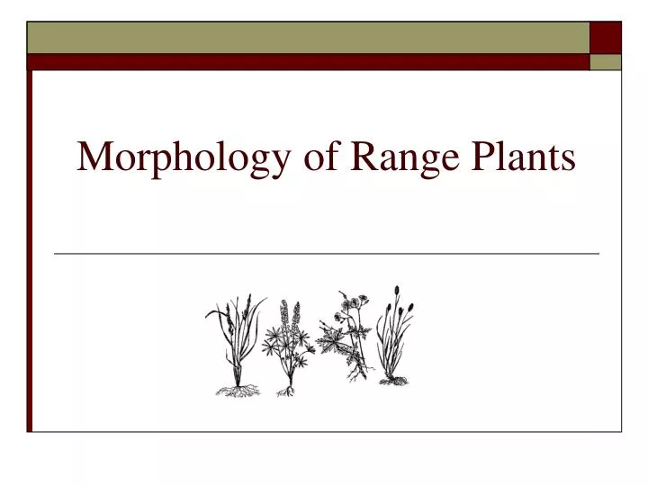 morphology of range plants