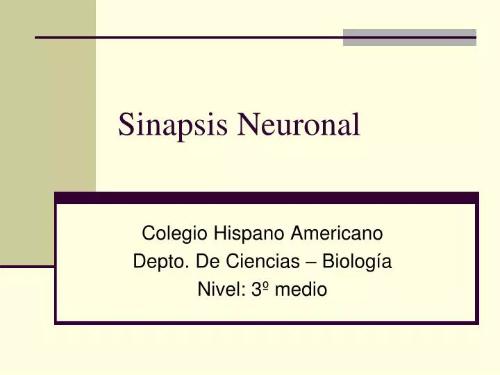 sinapsis neuronal