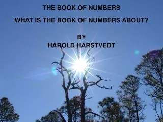 THE BOOK OF NUMBERS