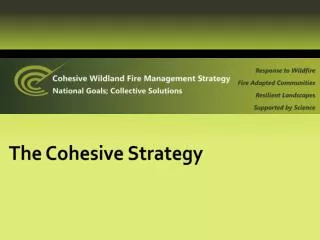 The Cohesive Strategy