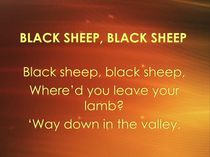 black sheep black sheep