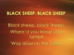 BLACK SHEEP, BLACK SHEEP - slide 1