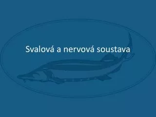 svalov a nervov soustava