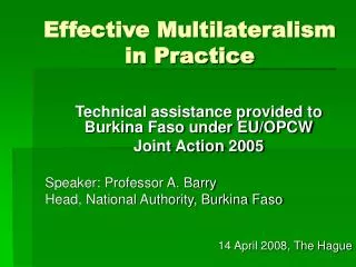 Effective Multilateralism in Practice