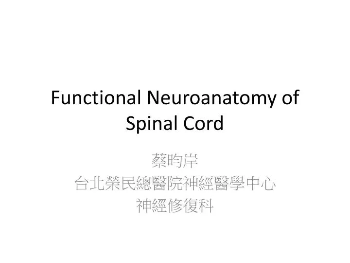 functional neuroanatomy of spinal cord