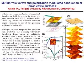 Mutliferroic vortex and polarization modulated conduction at ferroelectric surfaces Weida Wu, Rutgers University New Bru