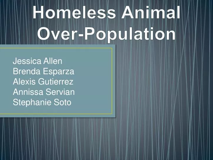 homeless animal over population