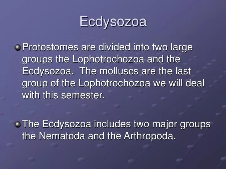 ecdysozoa