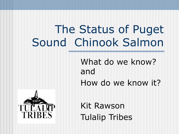 the status of puget sound chinook salmon
