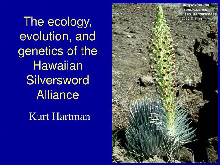 the ecology evolution and genetics of the hawaiian silversword alliance