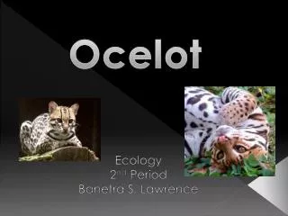 Ecology 2 nd Period Banetra S. Lawrence