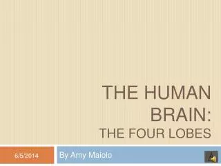 The Human Brain: The four Lobes