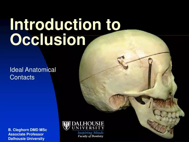 introduction to occlusion