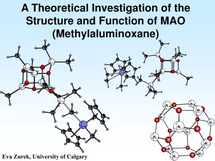 a theoretical investigation of the structure and function of mao methylaluminoxane
