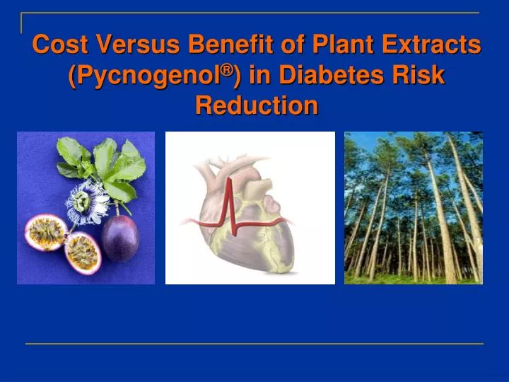 cost versus benefit of plant extracts pycnogenol in diabetes risk reduction