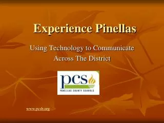 Experience Pinellas