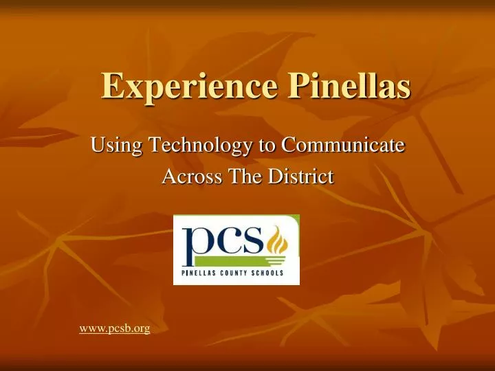 experience pinellas