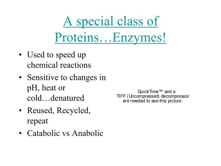 a special class of proteins enzymes