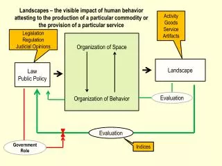 Organization of Space Organization of Behavior