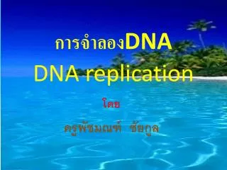 dna dna replication