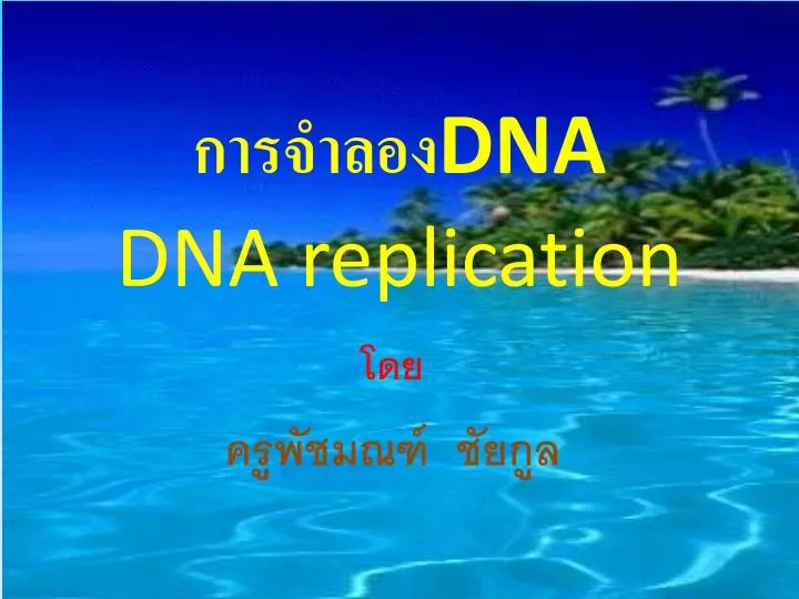 dna dna replication