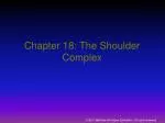 Chapter 18: The Shoulder Complex - slide 1
