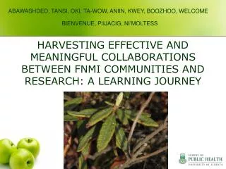 HARVESTING EFFECTIVE AND MEANINGFUL COLLABORATIONS BETWEEN FNMI COMMUNITIES AND RESEARCH: A LEARNING JOURNEY