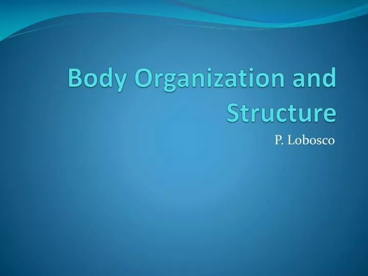 body organization and structure