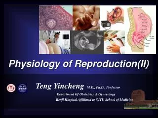 Physiology of Reproduction (II)