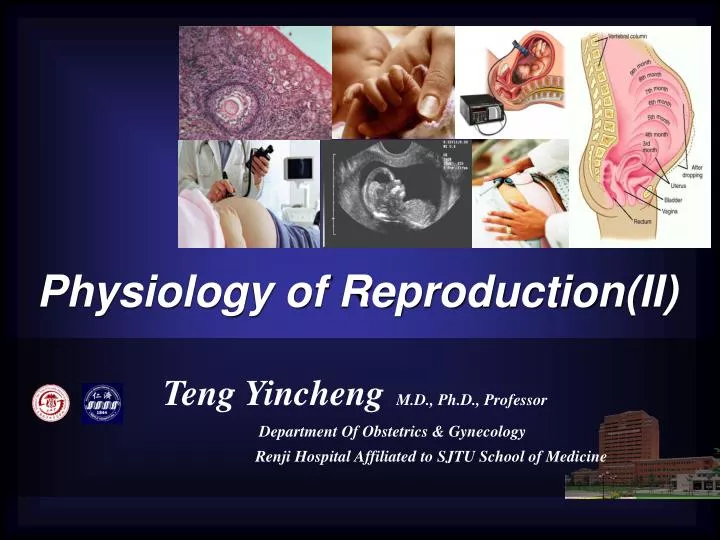 physiology of reproduction ii