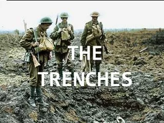 THE TRENCHES