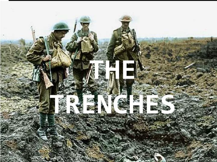 the trenches