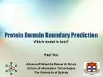 Protein Domain Boundary Prediction