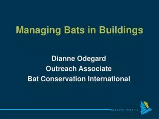 Managing Bats in Buildings
