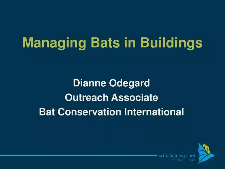 managing bats in buildings