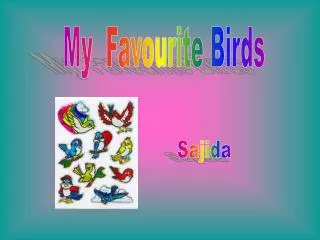 My Favourite Birds