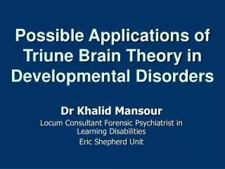 Possible Applications of Triune Brain Theory in Developmental Disorders