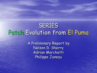 SERIES Patch Evolution from El Puma