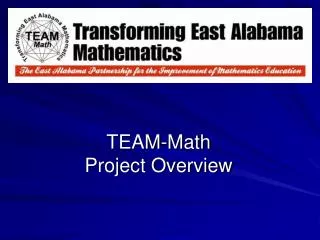 TEAM-Math Project Overview