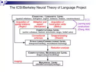 The ICSI/Berkeley Neural Theory of Language Project