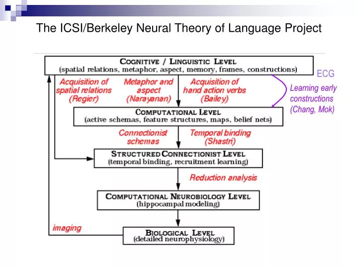 the icsi berkeley neural theory of language project
