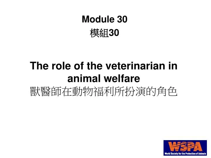 the role of the veterinarian in animal welfare