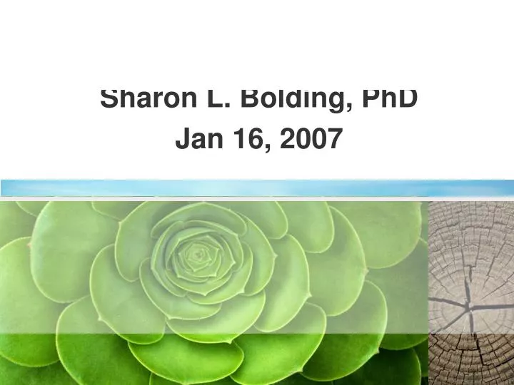 semantics overview sharon l bolding phd jan 16 2007