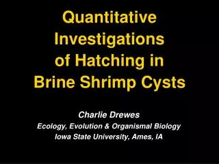 Quantitative Investigations of Hatching in Brine Shrimp Cysts