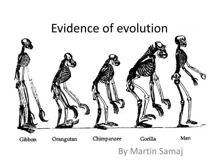 PPT - Evidence of evolution PowerPoint Presentation, free download - ID ...