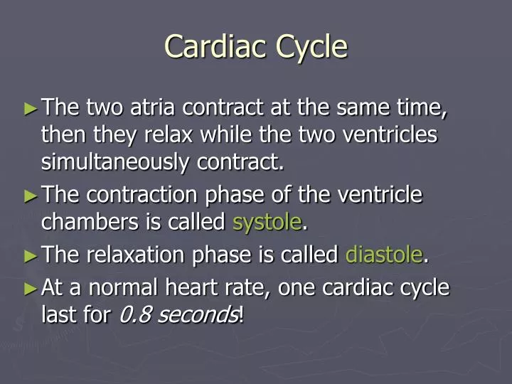 cardiac cycle