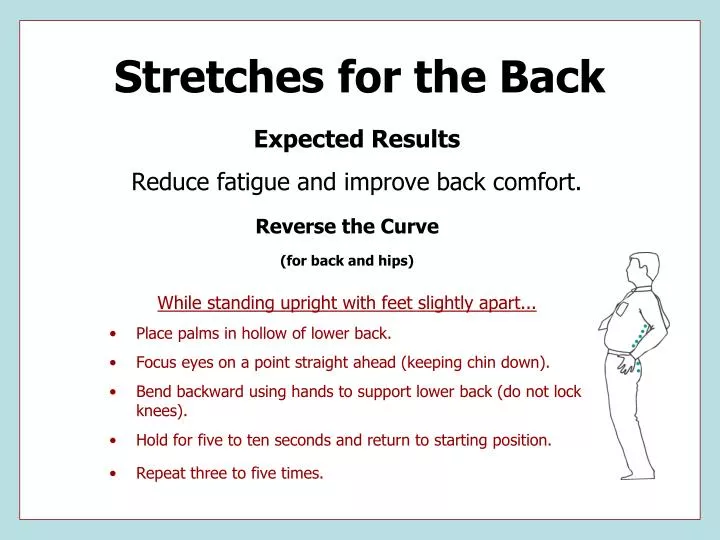 stretches for the back