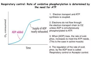 Respiratory control : Rate of oxidative phosphorylation is determined by the need for ATP