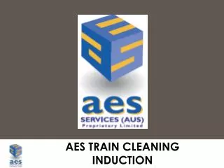 AES TRAIN CLEANING INDUCTION