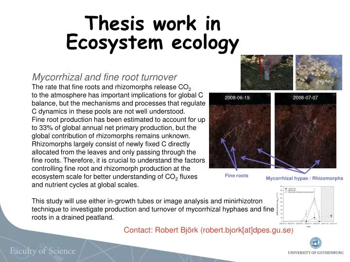 thesis work in ecosystem ecology